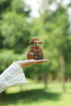 "The Patchwork Scarecrow" Seed Doll