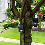 Two toucan figurines perched on tree branches in a garden setting.