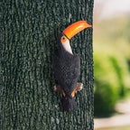 [Toucan Wall Art] Resin Toucan Wall Art Decoration - Weather-Resistant Handcrafted Tropical Bird Sculpture - Indoor/Outdoor Hanging Decor for Patio, Living Room, Garden - No Electricity Needed House Of Avana