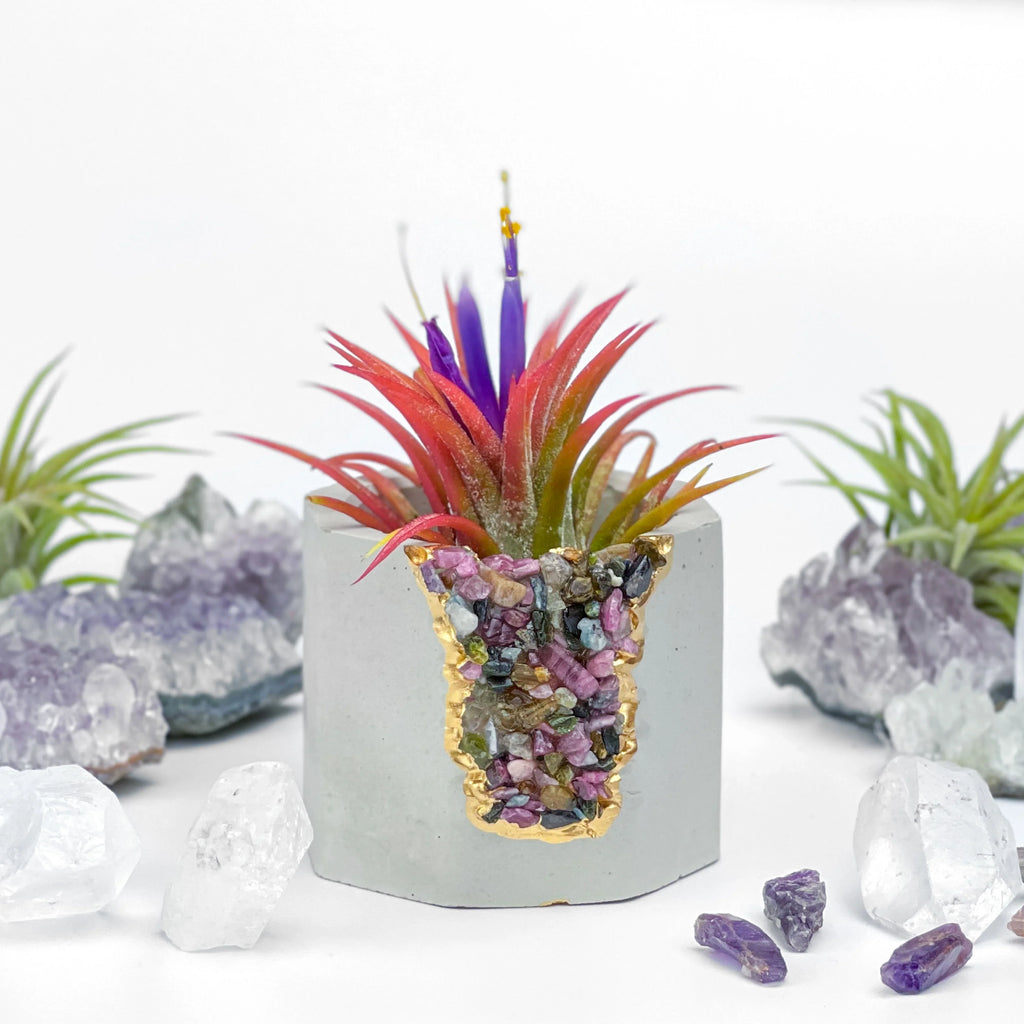 Tourmaline Geode Planter with Natural Stone and Unique Crystal Formation, back view - House Of Avana