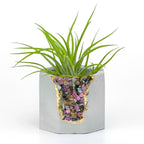 Tourmaline Geode Planter with Natural Stone and Unique Crystal Formation, side view - House Of Avana
