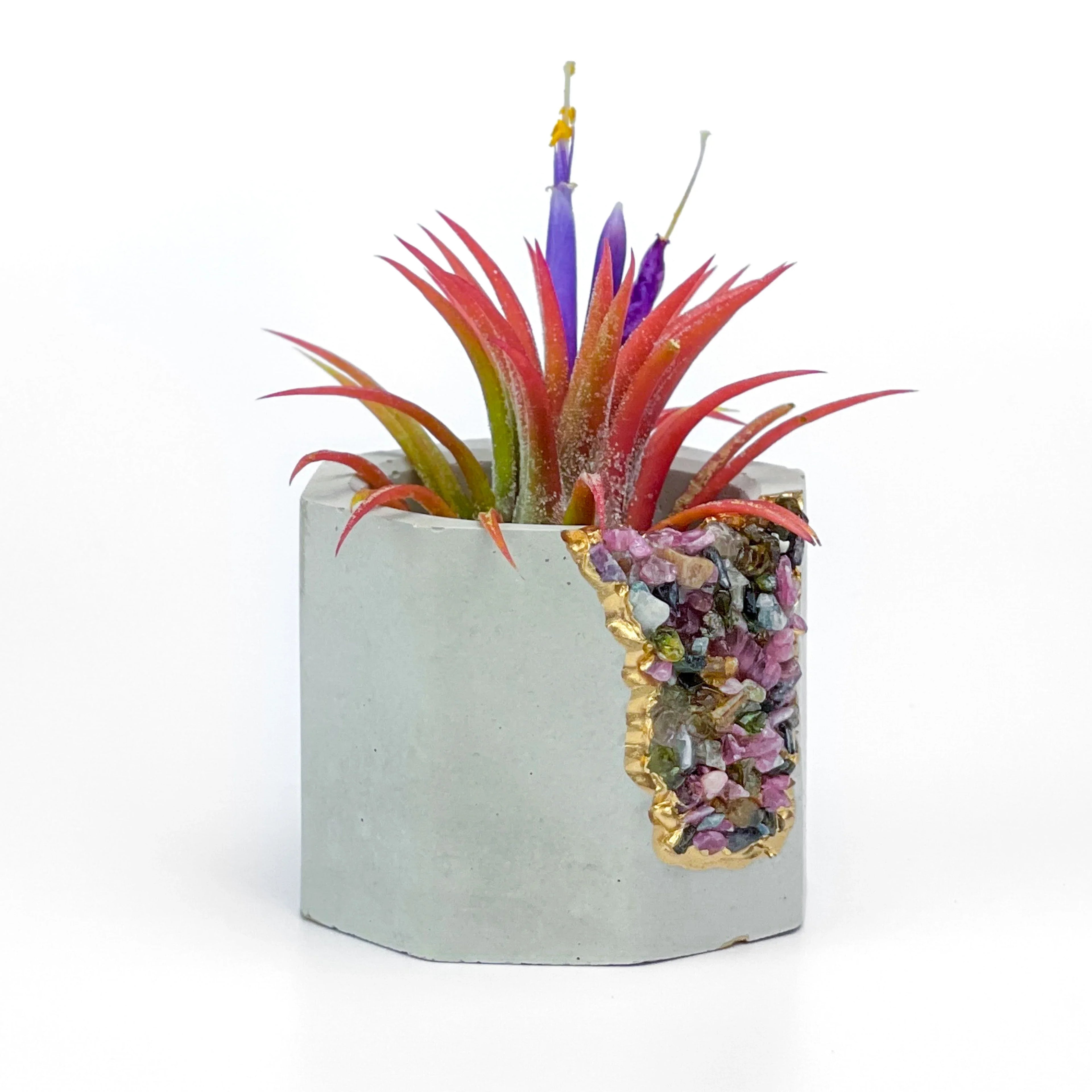 Tourmaline Geode Planter with Natural Stone and Unique Crystal Formation, lifestyle image - House Of Avana