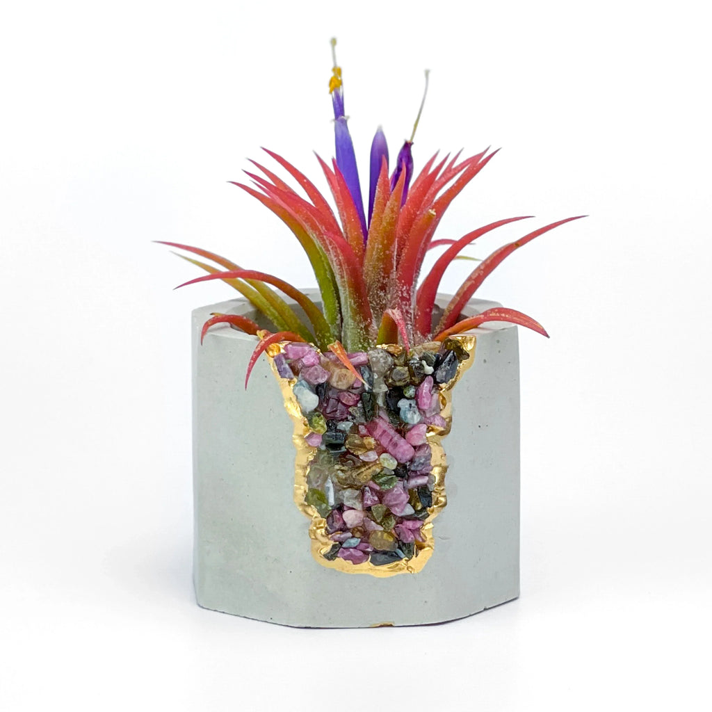 Tourmaline Geode Planter with Natural Stone and Unique Crystal Formation, top view - House Of Avana