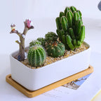 Tray - Natural Wooden Organizer