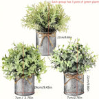 S Potted Artificial Eucalyptus Tree, Galvanized Flower Pot Desktop Center Decoration Suitable for... - House Of Avana