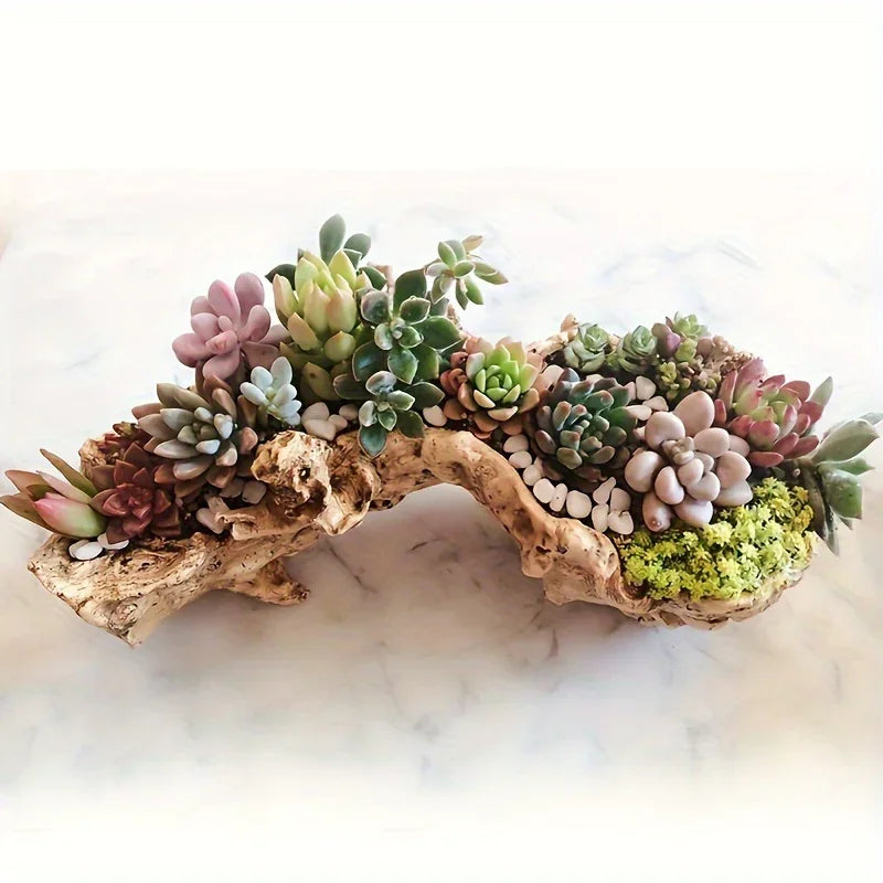 Imitation Tree Head Succulent Planter Large Caliber Resin Imitation Planter Succulent Planter Deadwood... - House Of Avana
