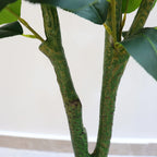 S Artificial Camellia Tree with Realistic Trunk, Leaves, Flowers & Planter - 149.35cm/179.83cm Indoor... - House Of Avana