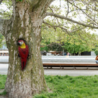 Garden Hanging Tree Parrot Design Outdoor Statue - House Of Avana