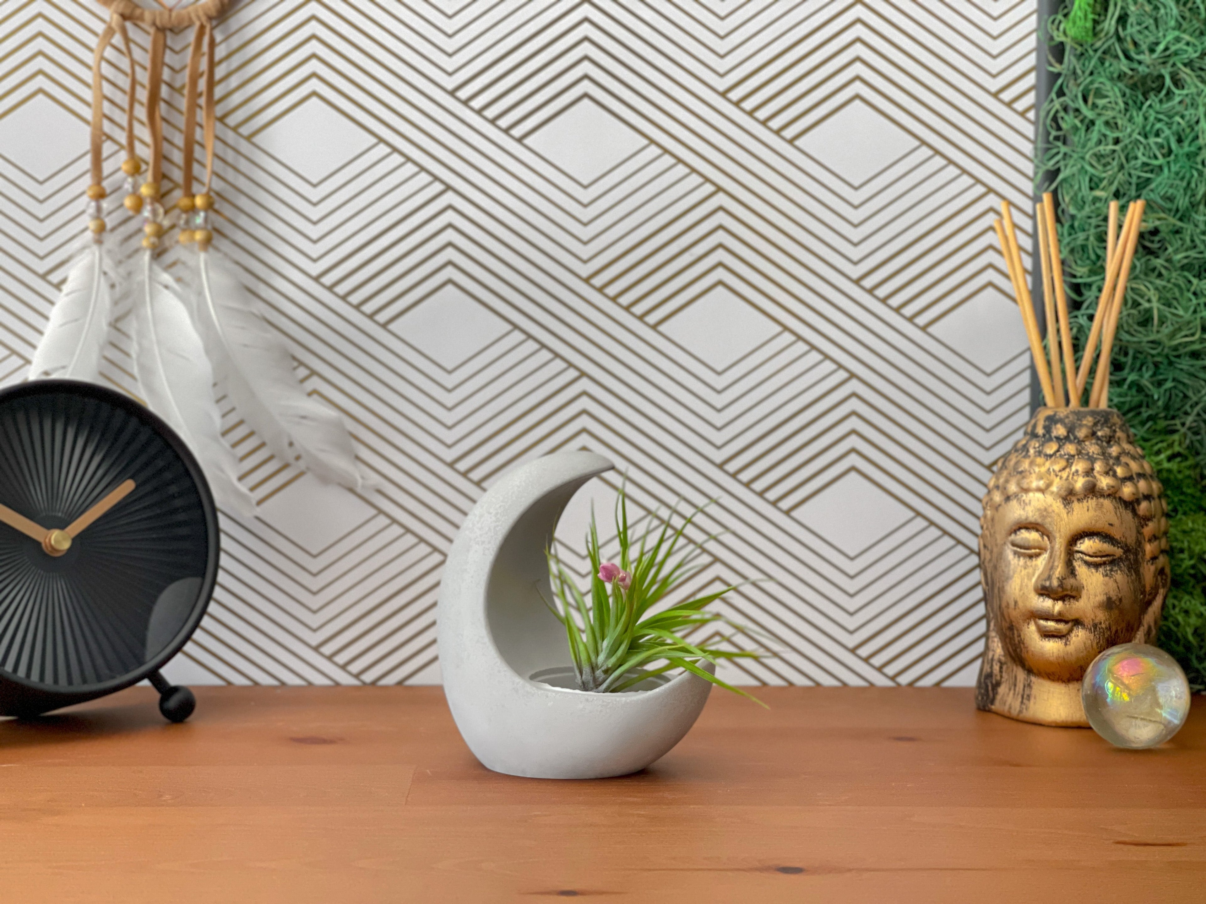 YOUNG MOON AIR PLANT HOLDER AURA 8 HOME