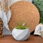 Geometric Air Plant Holder AURA 8 HOME