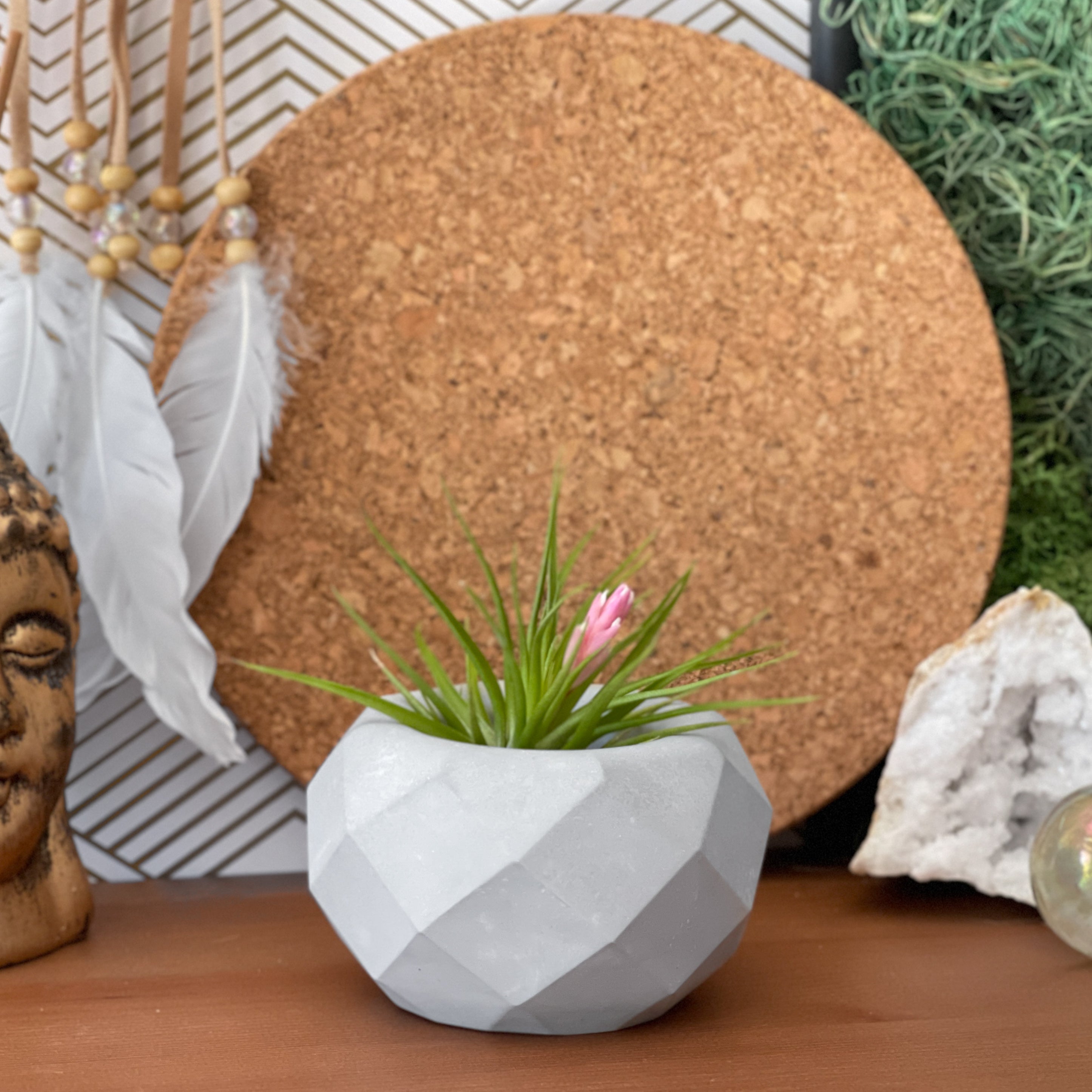 Geometric Air Plant Holder AURA 8 HOME