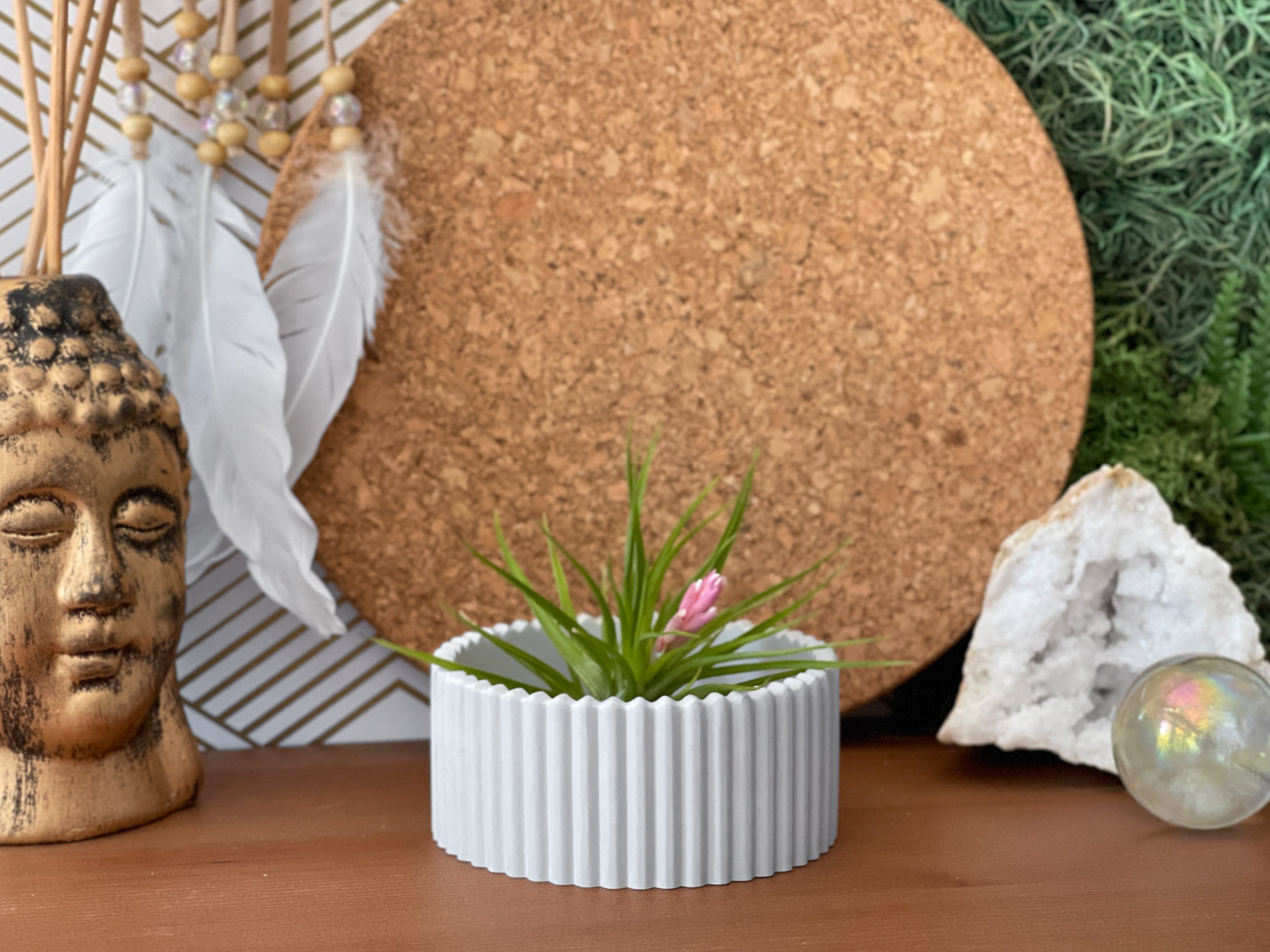 Scandinavian Air Plant Holder | Succulent Planter AURA 8 HOME