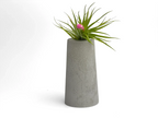 Fat Mini Vase | Air Plant Holder, close-up view - House Of Avana