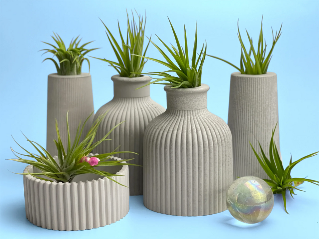 Fat Mini Vase | Air Plant Holder, top view - House Of Avana