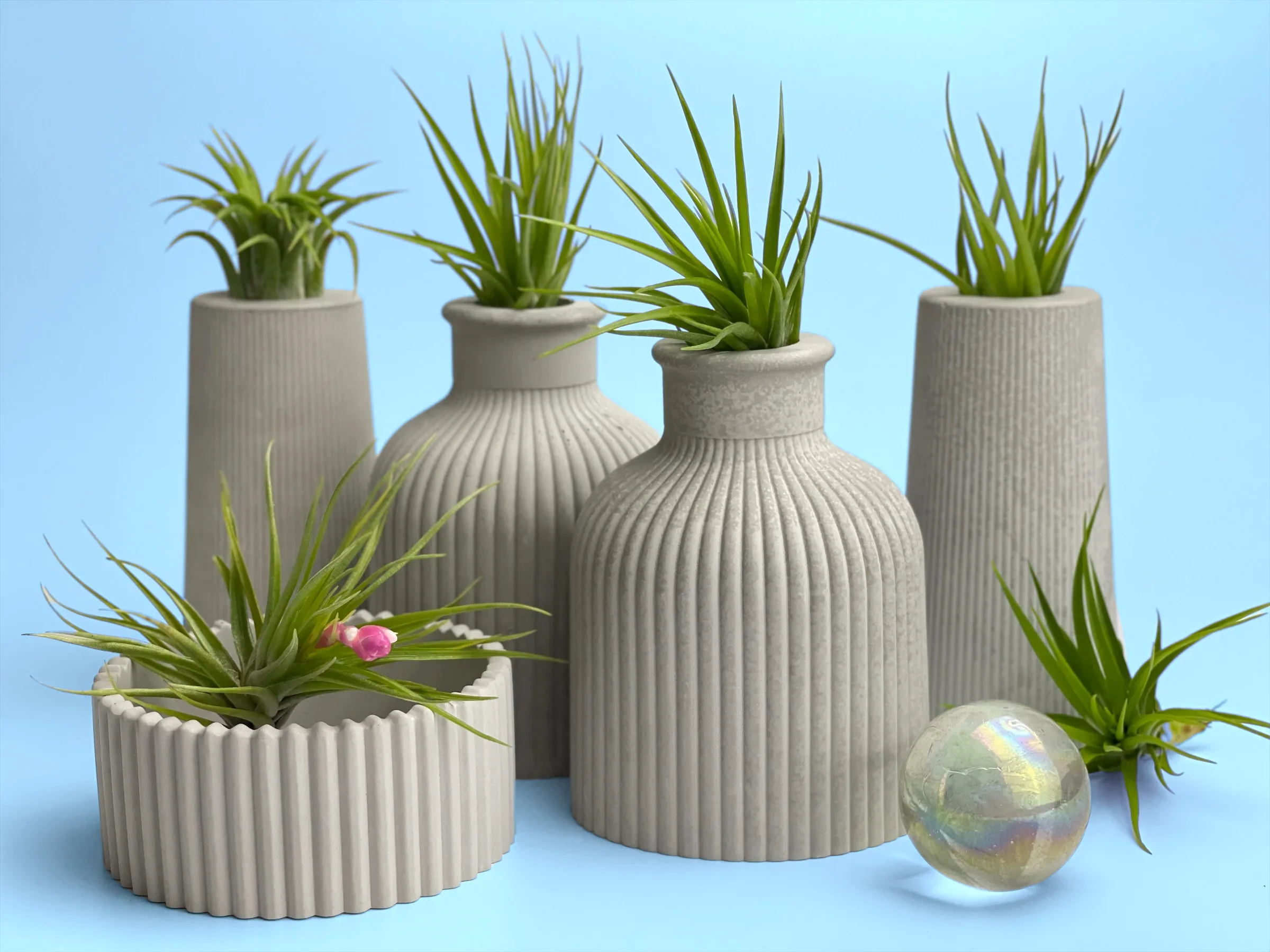 Fat Mini Vase | Air Plant Holder, top view - House Of Avana
