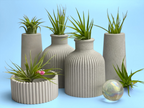 Skinny Mini Vase | Air Plant Holder, back view - House Of Avana