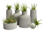 Skinny Mini Vase | Air Plant Holder, top view - House Of Avana