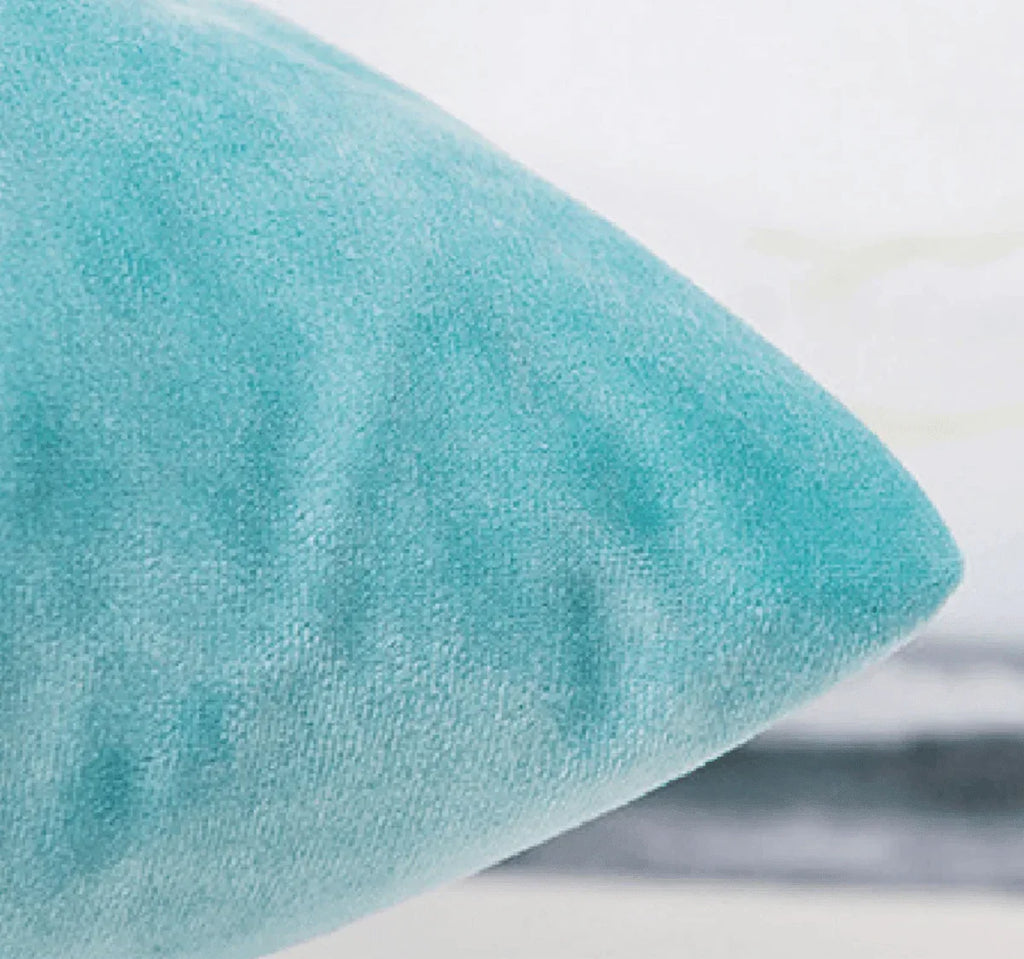 Velvet Pillows Gia Roma