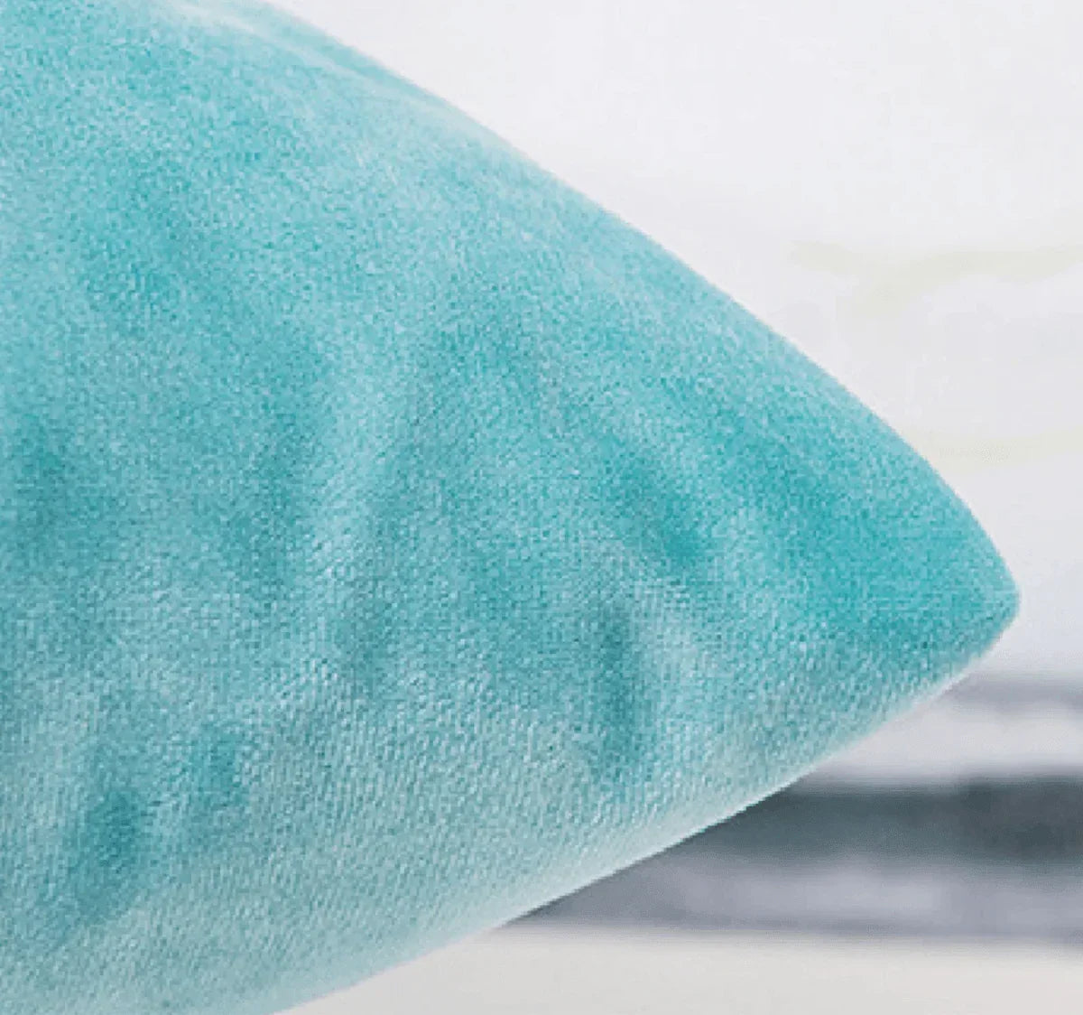 Velvet Pillows Gia Roma