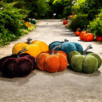 Velvet Pumpkins Gia Roma