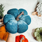 Velvet Pumpkins Gia Roma