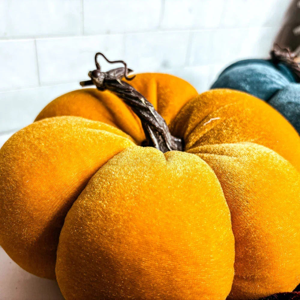 Velvet Pumpkins Gia Roma