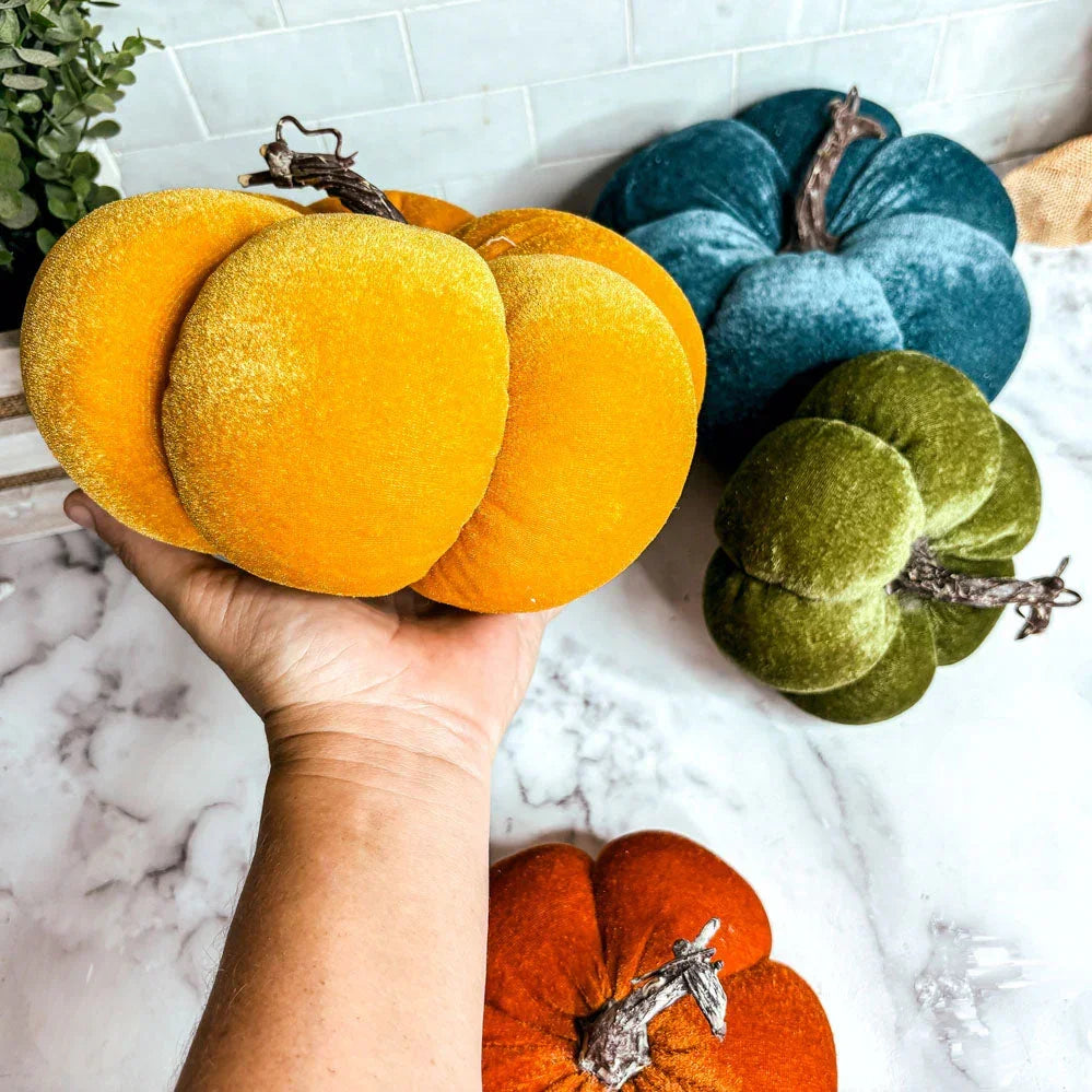 Velvet Pumpkins Gia Roma