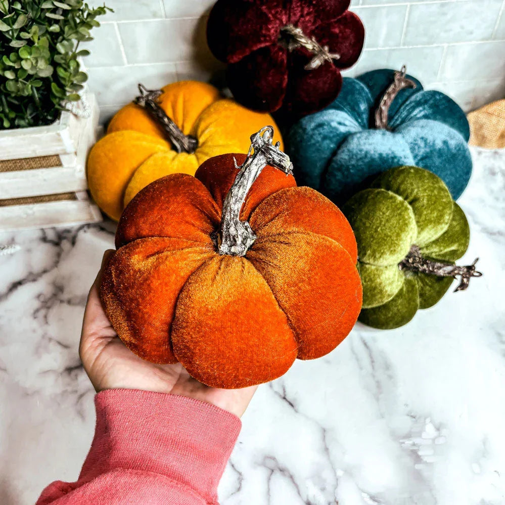 Velvet Pumpkins Gia Roma