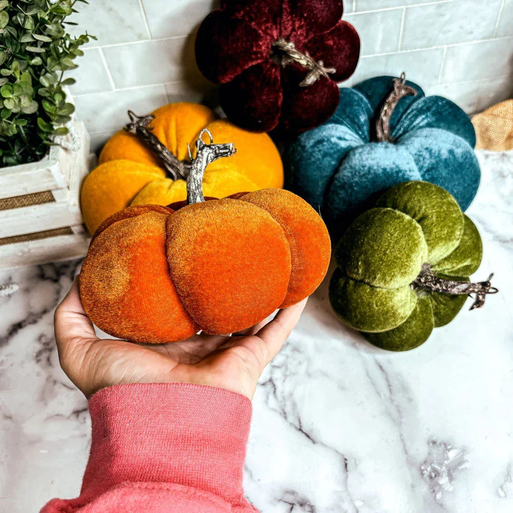 Velvet Pumpkins Gia Roma