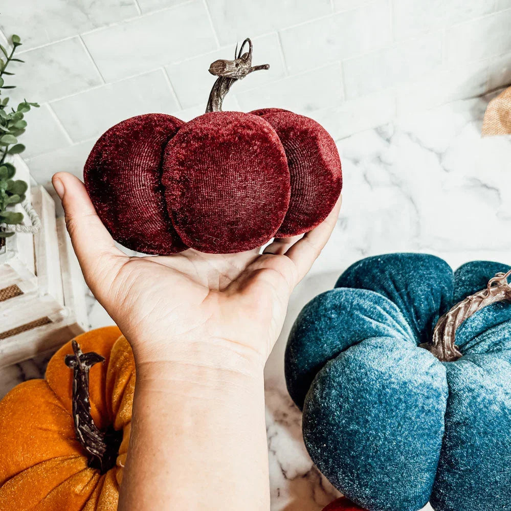 Velvet Pumpkins Gia Roma