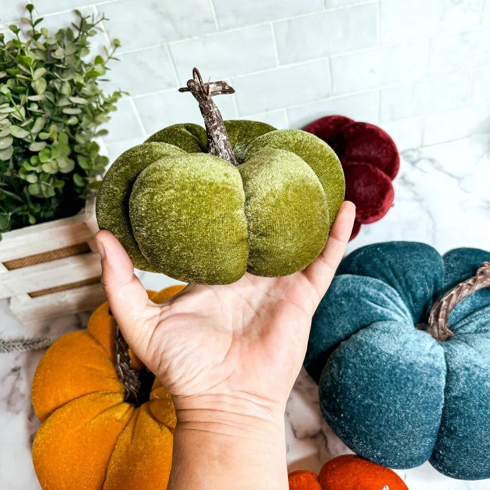 Velvet Pumpkins Gia Roma