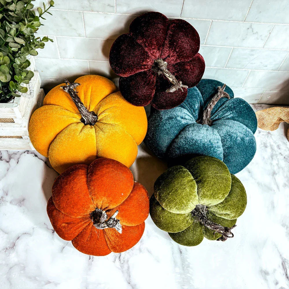 Velvet Pumpkins Gia Roma