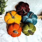 Velvet Pumpkins Gia Roma