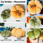 Velvet Pumpkins Gia Roma