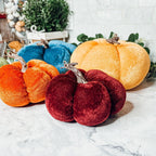 Velvet Pumpkins Gia Roma