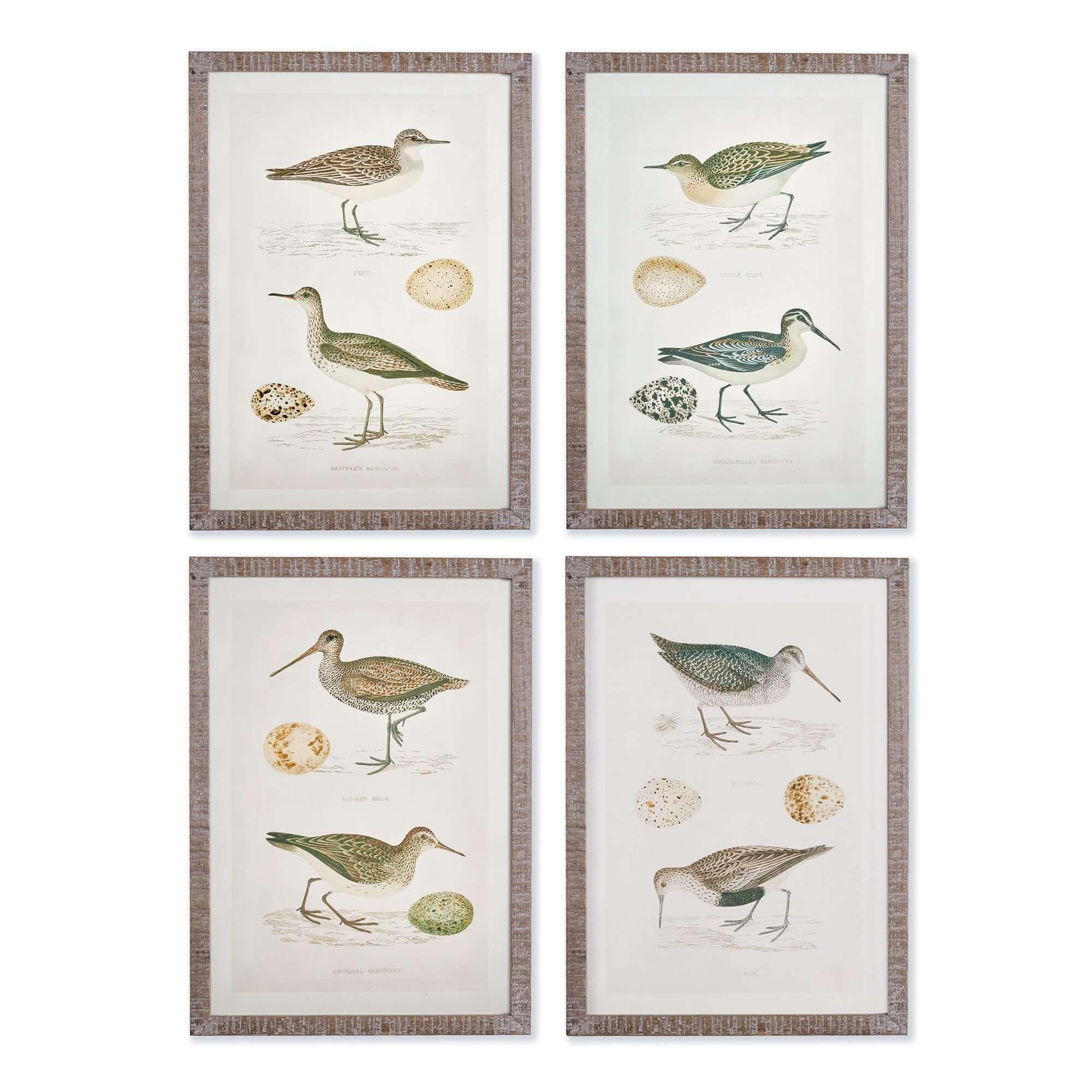 Vintage Coastal Bird Prints Wall Art (Set of 4) Vintage Shopper