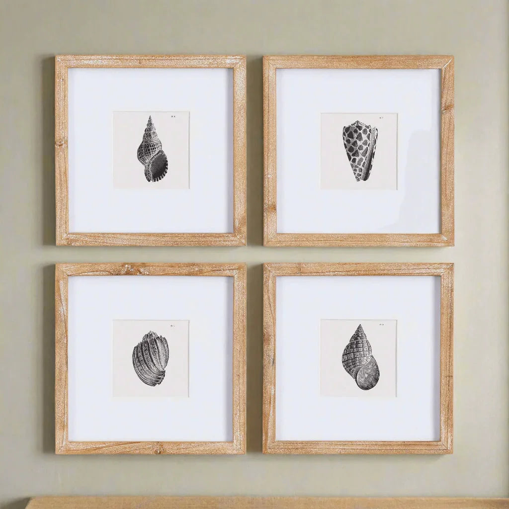 Vintage Coastal Seashell Wall Art Set (Set of 4) Vintage Shopper