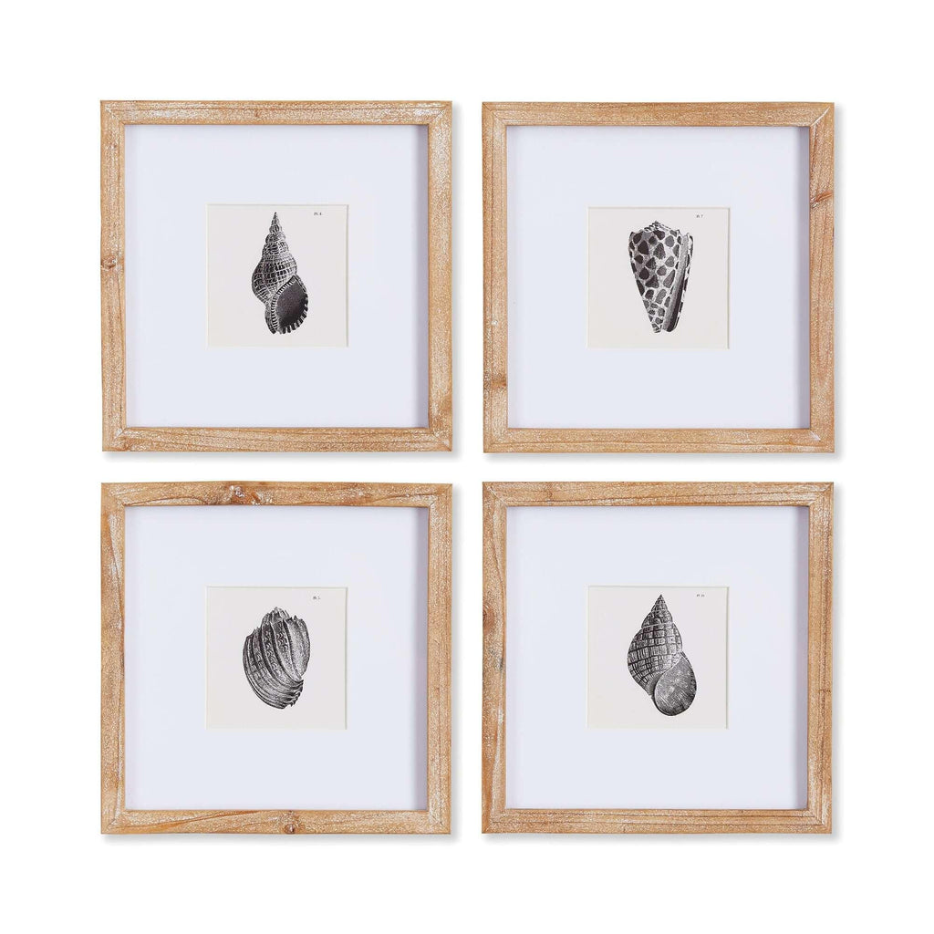 Vintage Coastal Seashell Wall Art Set (Set of 4) Vintage Shopper