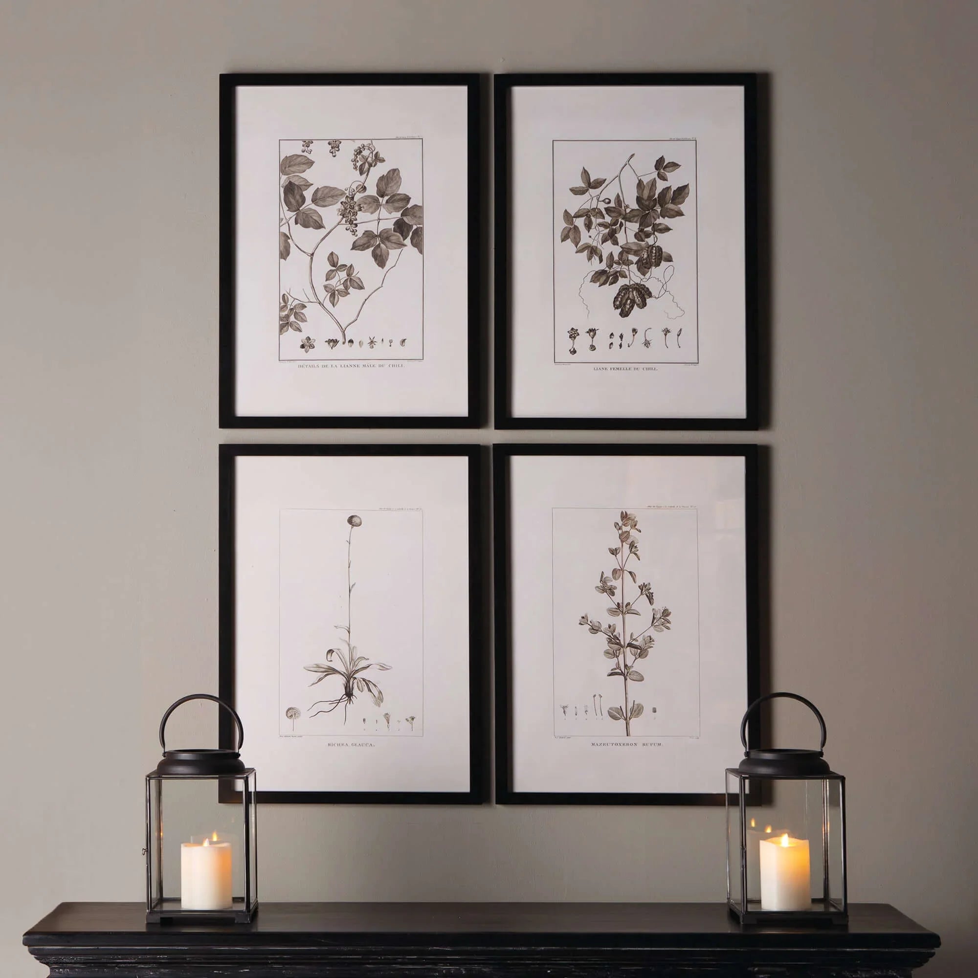 Vintage Monochromatic Botanical Herb Wall Art (Set of 4) Vintage Shopper