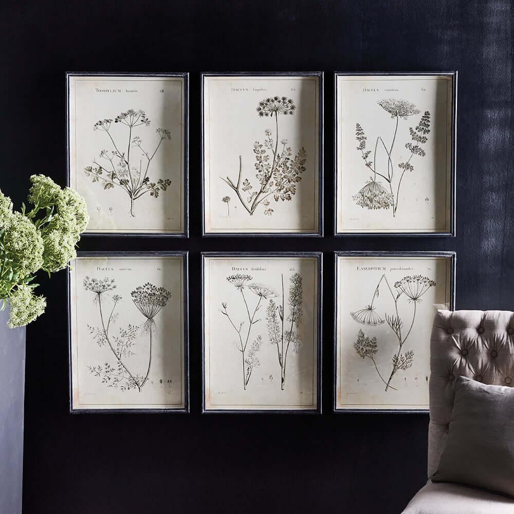 Vintage Monochromatic Botanical Wildflower Wall Art (Set of 6) Vintage Shopper