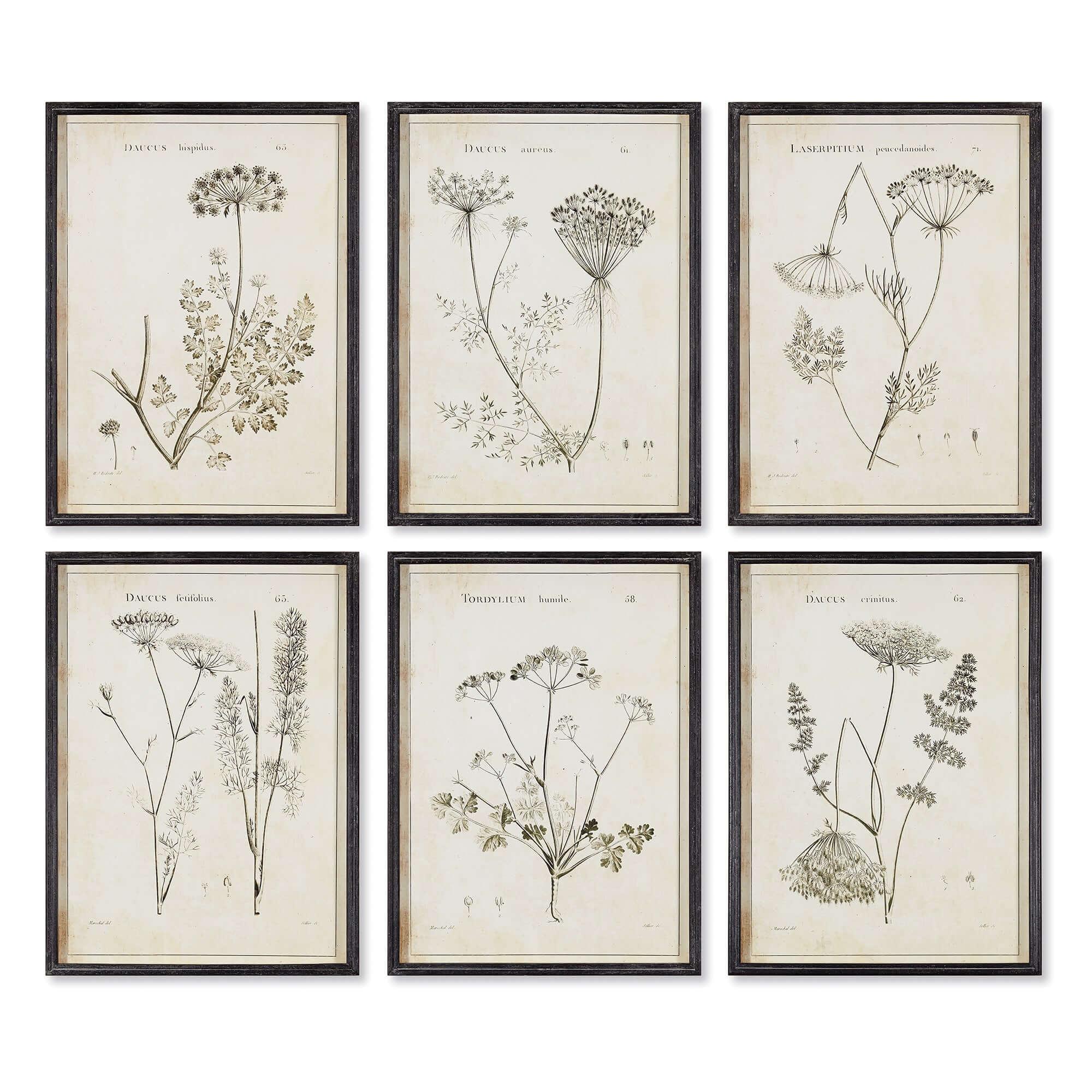 Vintage Monochromatic Botanical Wildflower Wall Art (Set of 6) Vintage Shopper