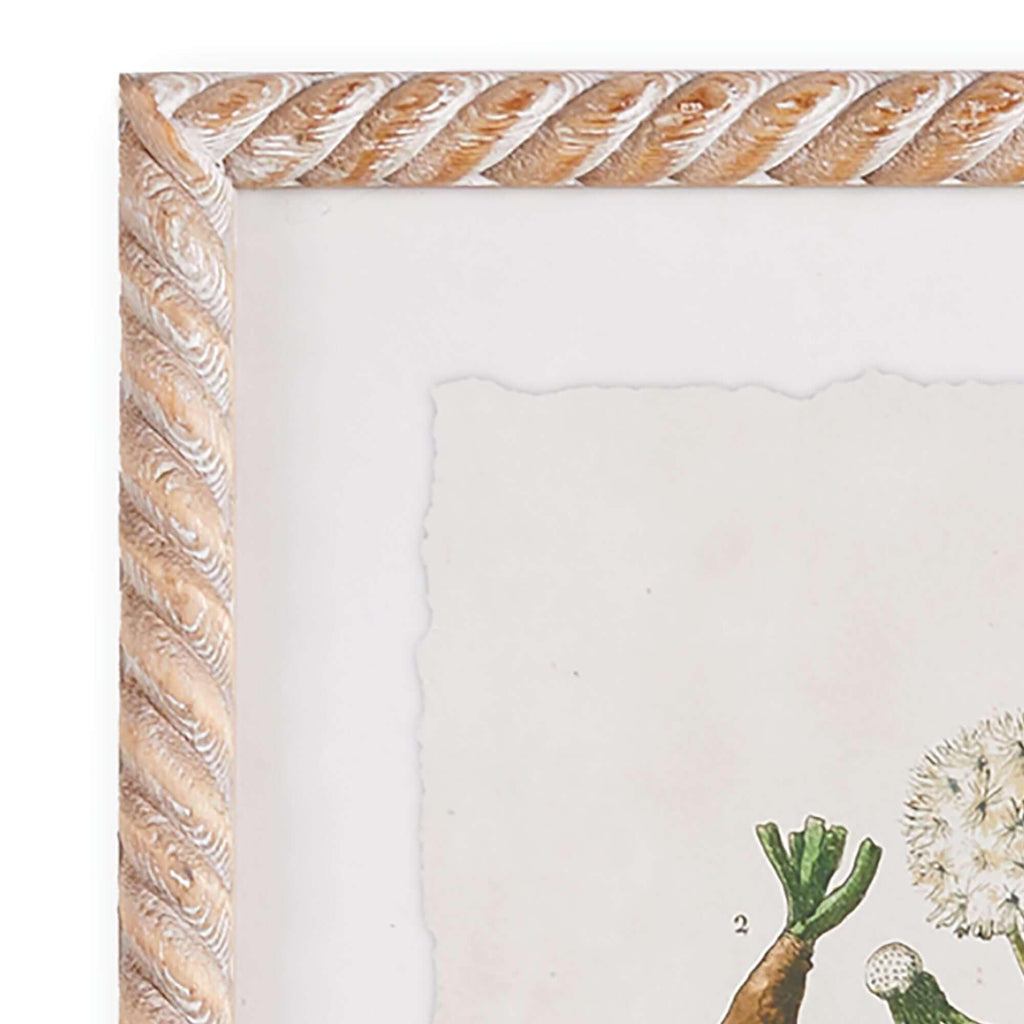 White framed vintage plant illustrations, set of 4 prints on paper - House of Avana