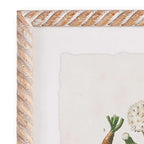 White framed vintage plant illustrations, set of 4 prints on paper - House of Avana