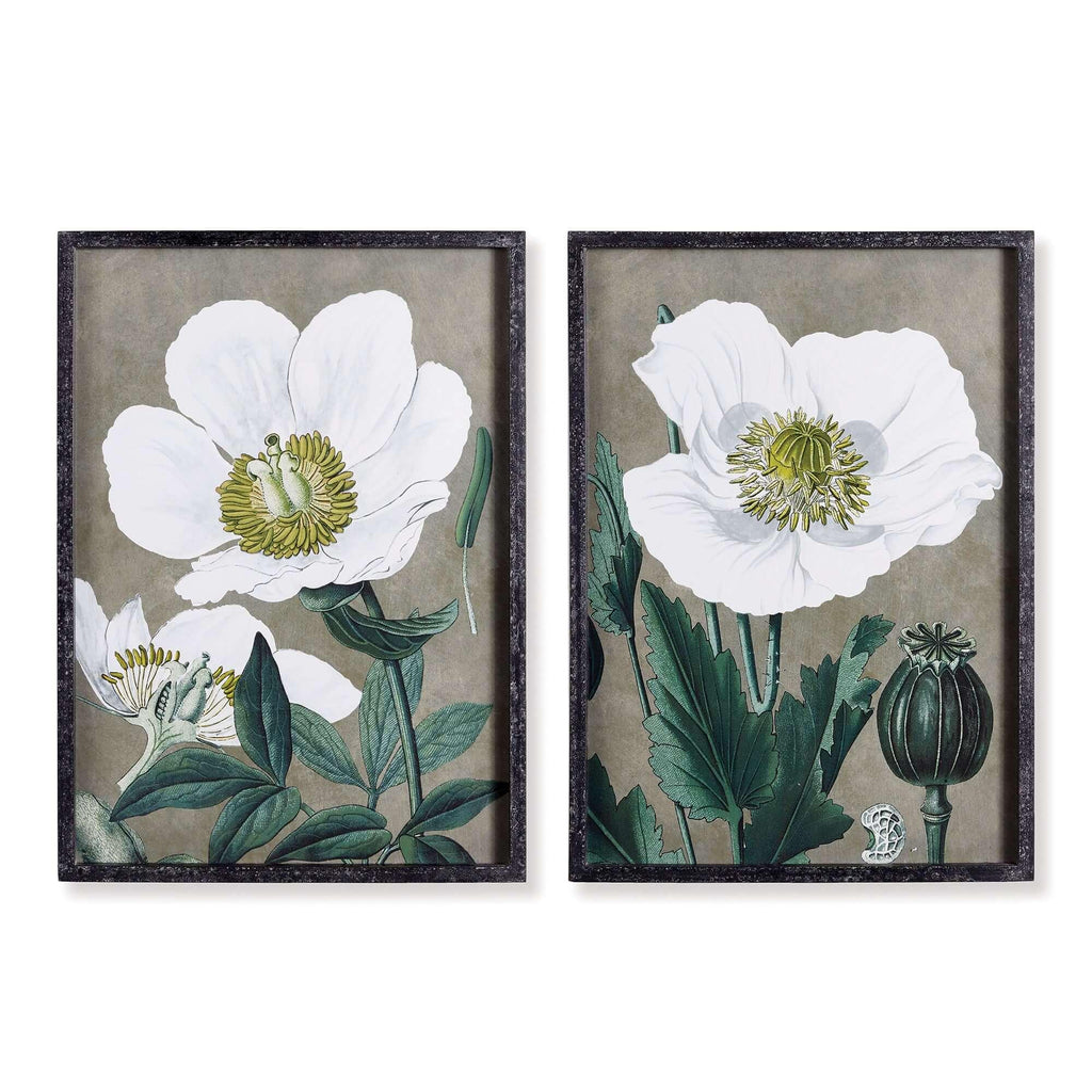 Vintage poppy prints in white frames, set of two watercolor art pieces - House of Avana