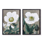 Vintage poppy prints in white frames, set of two watercolor art pieces - House of Avana