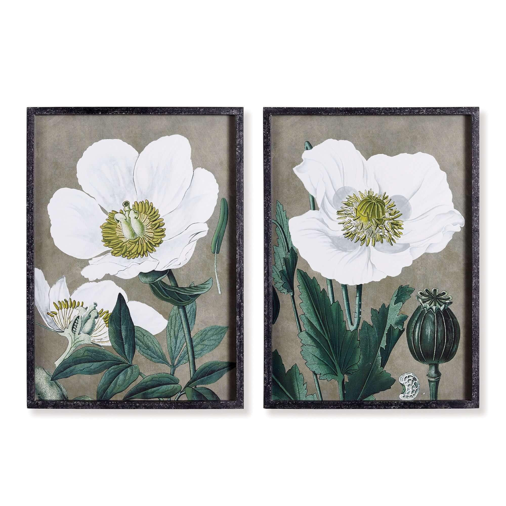 Vintage poppy prints in white frames, set of two watercolor art pieces - House of Avana