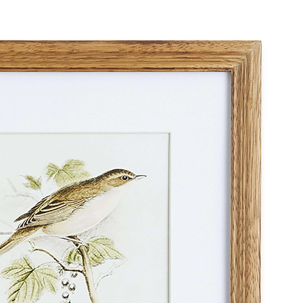 Vintage Songbird Prints Wall Art (Set of 4) Vintage Shopper