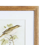 Vintage Songbird Prints Wall Art (Set of 4) Vintage Shopper