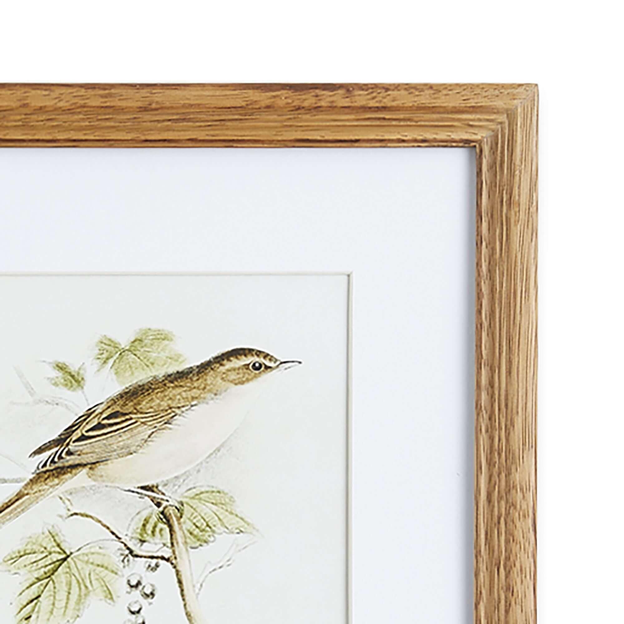Vintage Songbird Prints Wall Art (Set of 4) Vintage Shopper