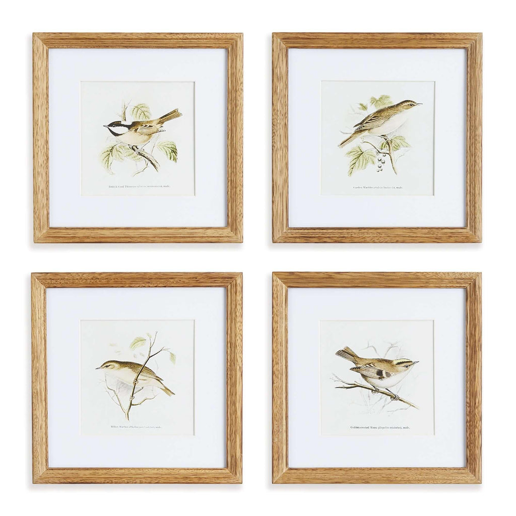 Vintage Songbird Prints Wall Art (Set of 4) Vintage Shopper